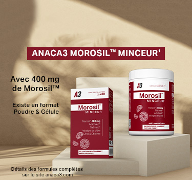 gamme-morosil-anaca3