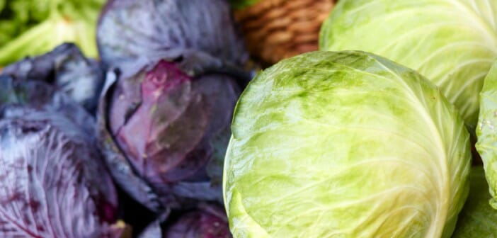 Le chou : l'aliment minceur