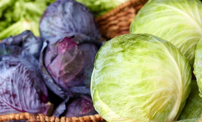 Le chou : l'aliment minceur
