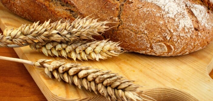 Le gluten : les méfaits sur la ligne