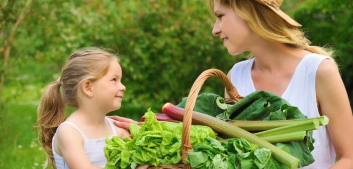 Les épinards atout minceur et santé