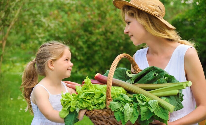 Les épinards atout minceur et santé