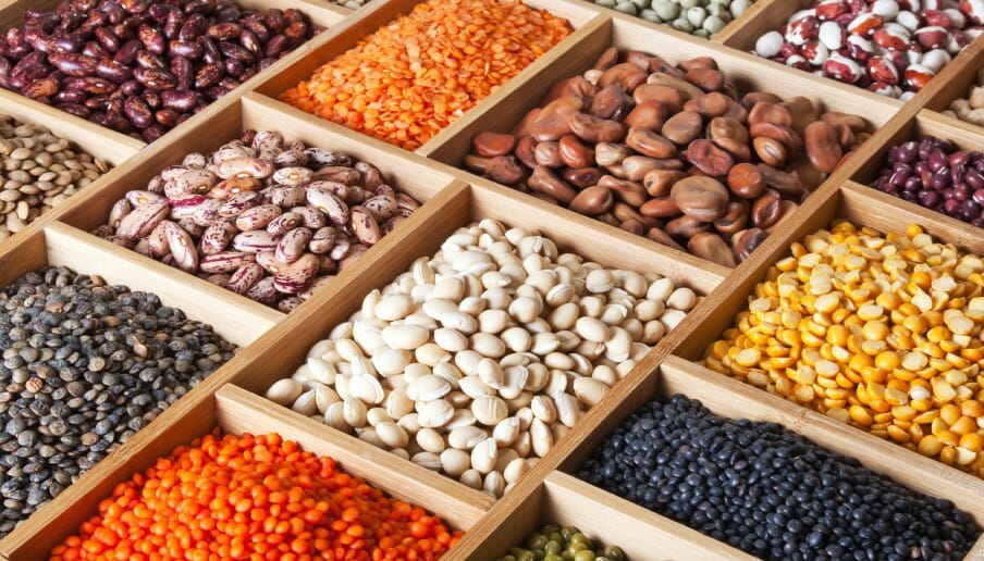 Les haricots : autant de vertus que de variétés