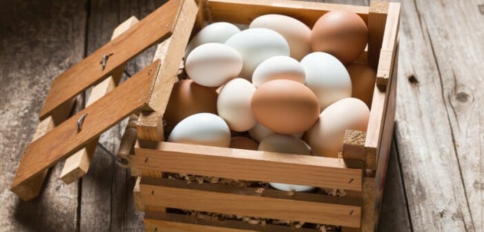 L'oeuf pendant un régime