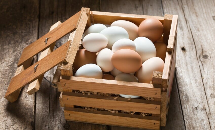 L'oeuf pendant un régime