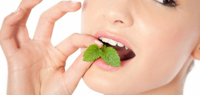 La menthe comment la consommer