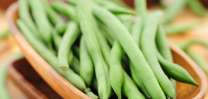 Le régime à base de haricot vert
