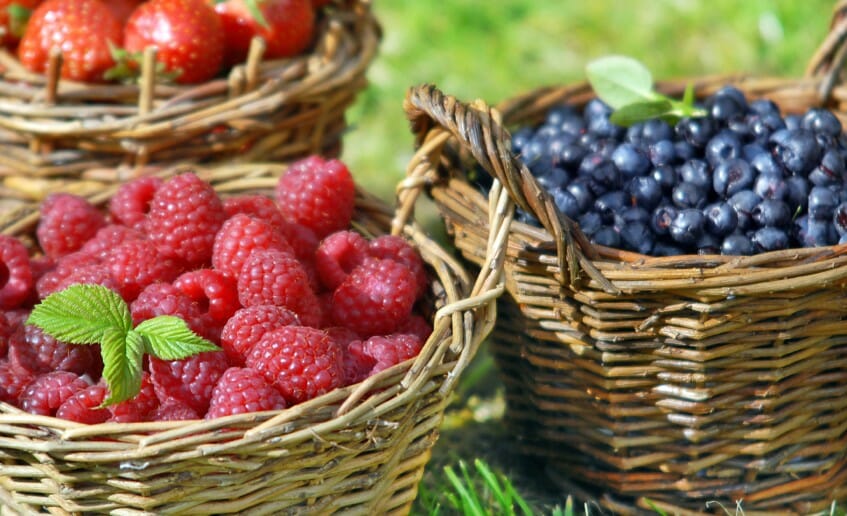 Les fruits rouges atout santé