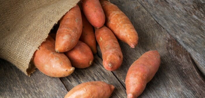 Les vertus nutritives de la patate douce