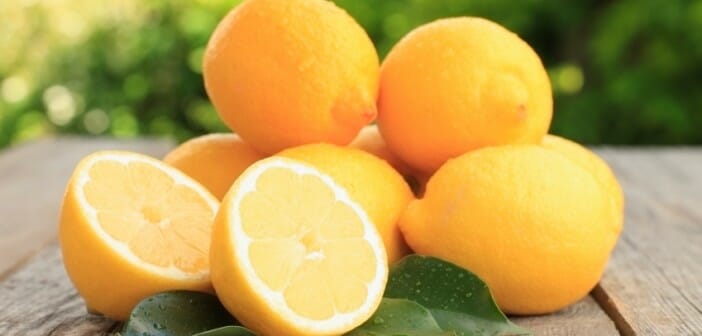 Régime citron principe et nos conseils