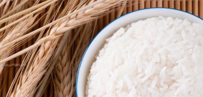 le riz des vertus controversees