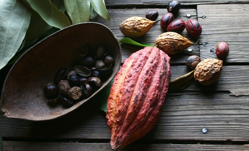 Le cacao est un allié ou un ennemi ?