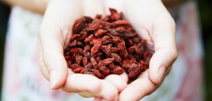 Les propriétés des baies de goji