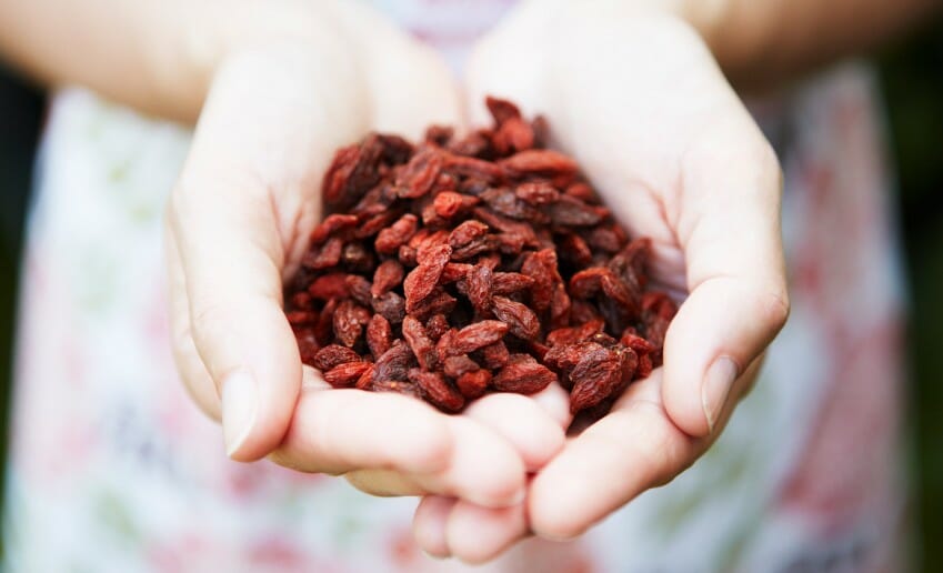 Les propriétés des baies de goji