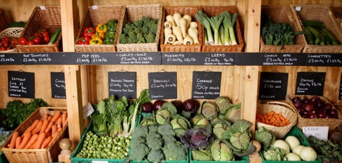 Manger Bio fait-il maigrir ?