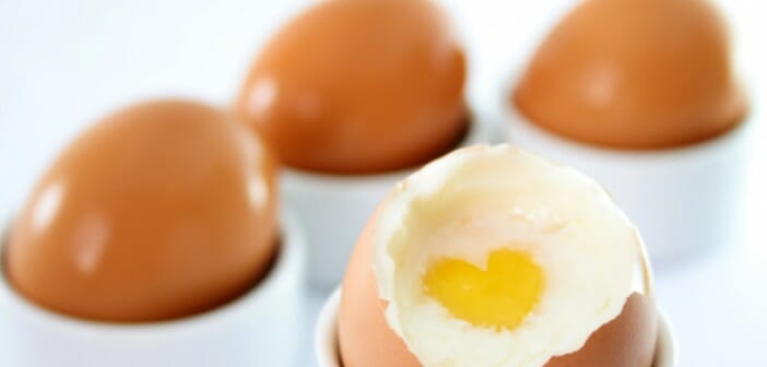 Quels sont les aliments les plus riches en protéines ?