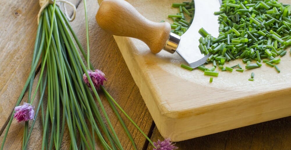 Consommer de la ciboulette pendant un régime