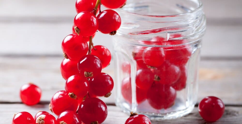 La groseille, un petit fruit bon pour mincir
