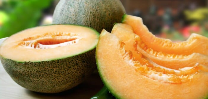 Le melon est il calorique ?