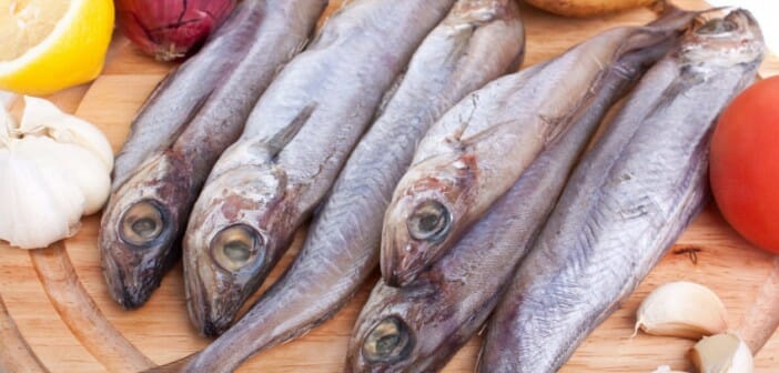 Le merlan est il un poisson gras ?