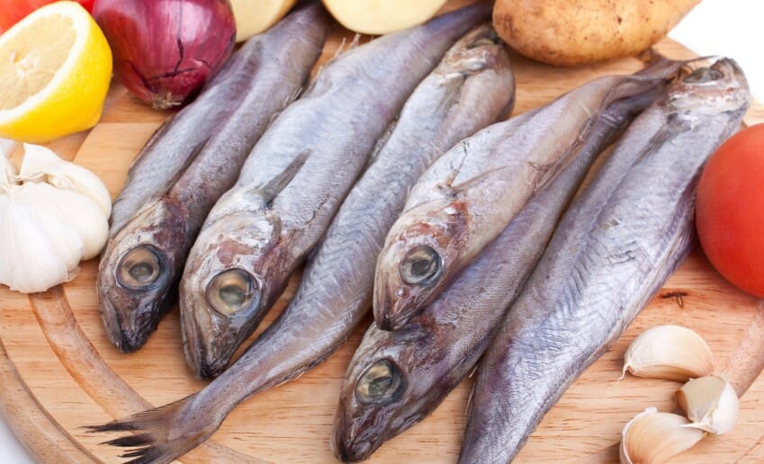 Le merlan est il un poisson gras ?