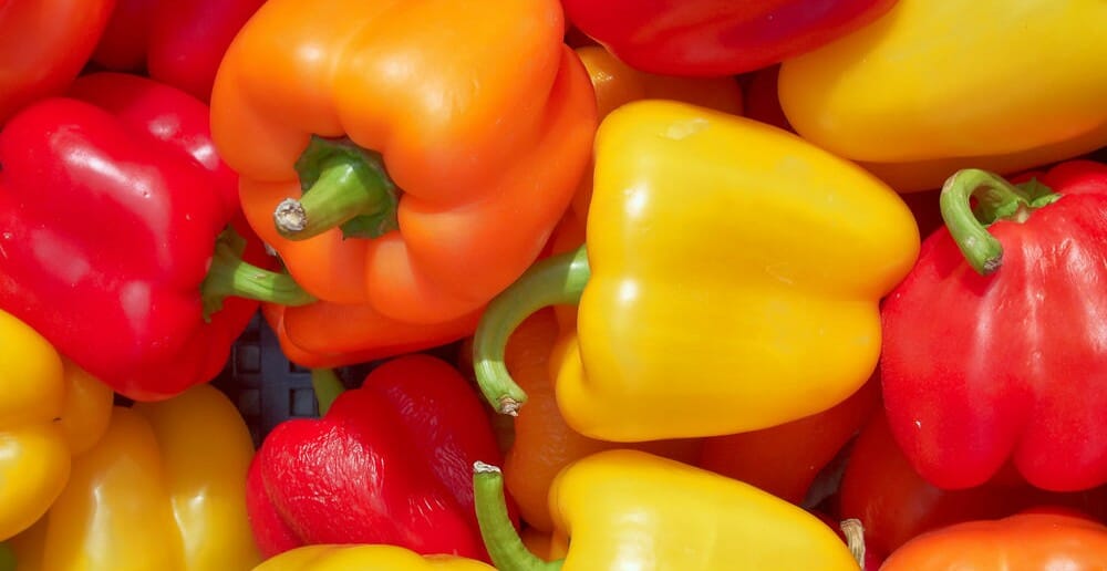 Le poivron ou piment doux pendant un régime minceur
