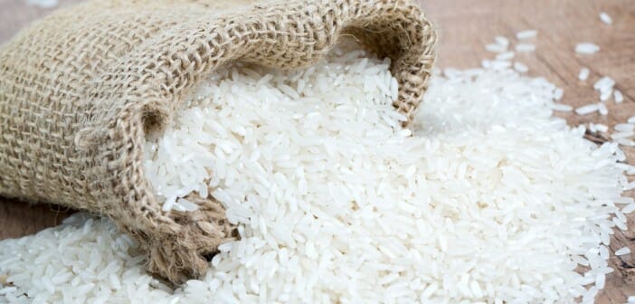 Le riz blanc est-il calorique ?