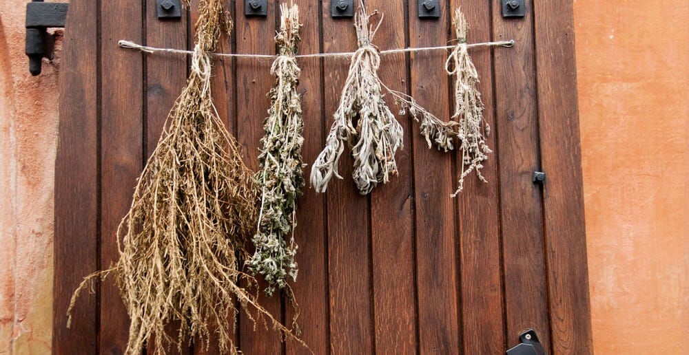 Les avantages minceur d'un bouquet garni