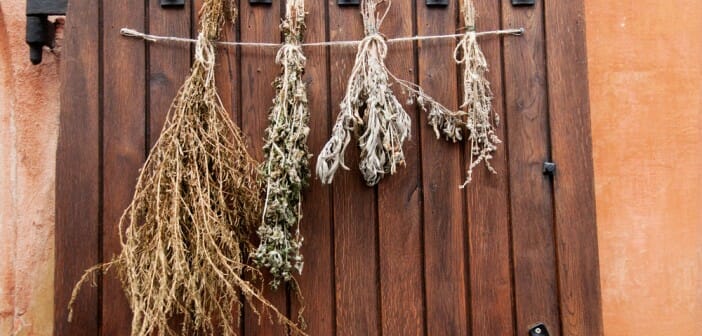 Les avantages minceur d'un bouquet garni