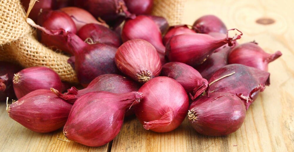 Les bienfaits minceur de l'oignon rouge