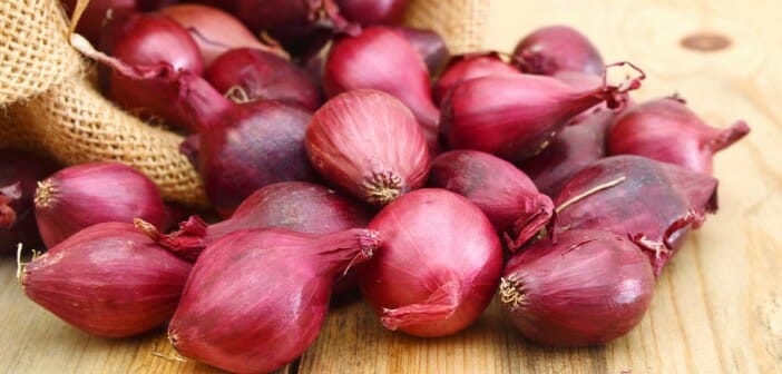 Les bienfaits minceur de l'oignon rouge