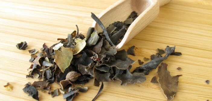 Les coupes faims naturels pour perdre du poids