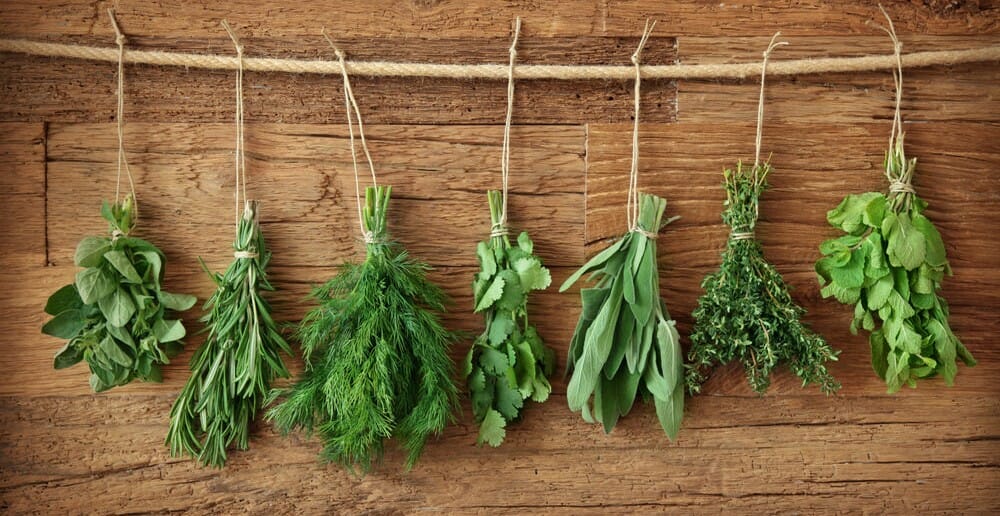 Les herbes dans le cadre d'un régime