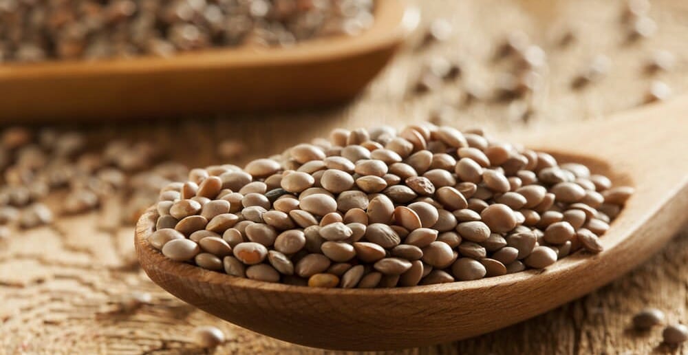 Les lentilles font-elles grossir ?