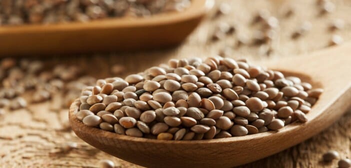 Les lentilles font-elles grossir ?