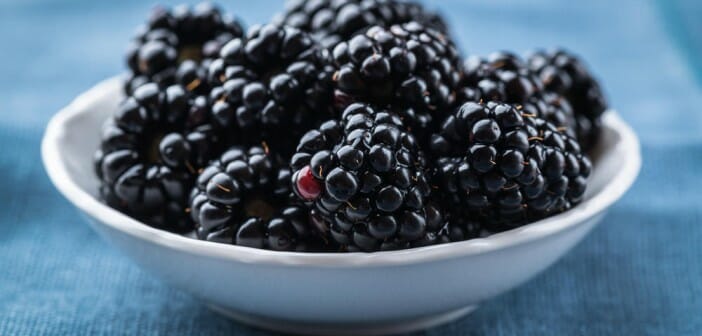 Les mures sont-elles caloriques ?