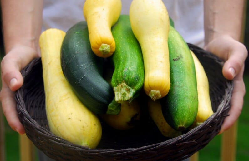Tout sur la courgette minceur et cuisine