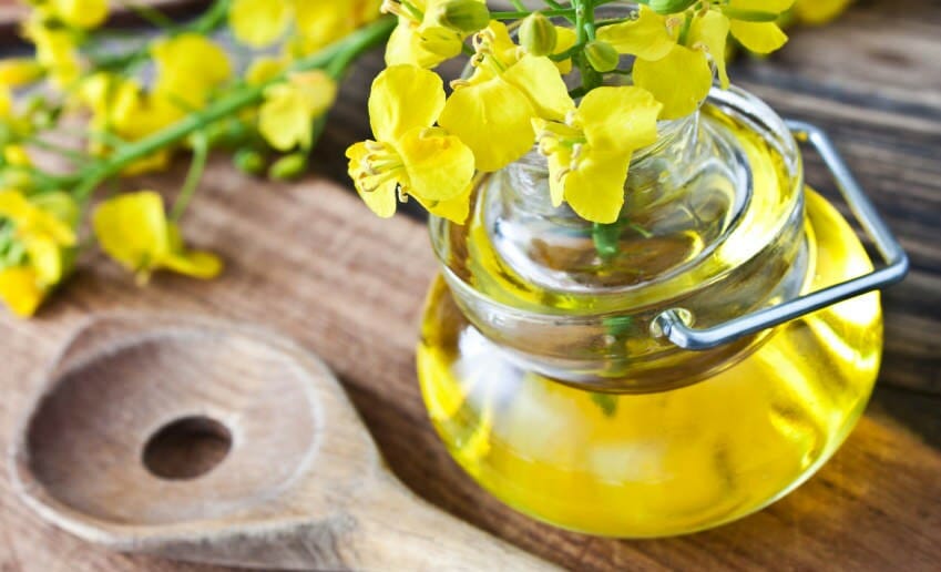 Une huile recommandée pour mincir : l'huile de colza