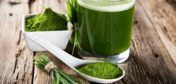 La chlorella fait-elle maigrir ?