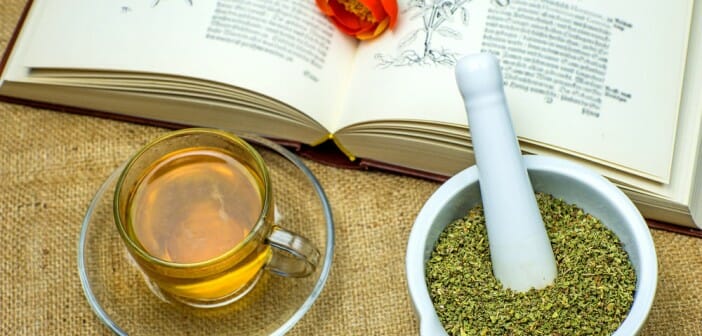 La phytothérapie pour maigrir