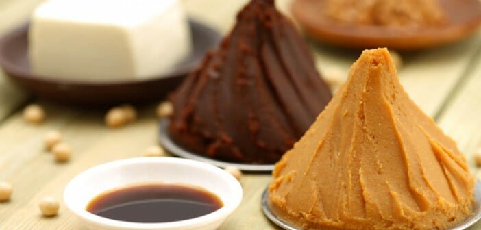 La sauce miso fait-elle grossir ?
