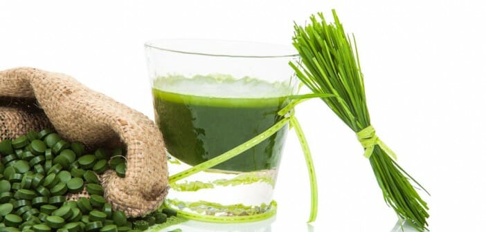 La spiruline fait-elle maigrir ?