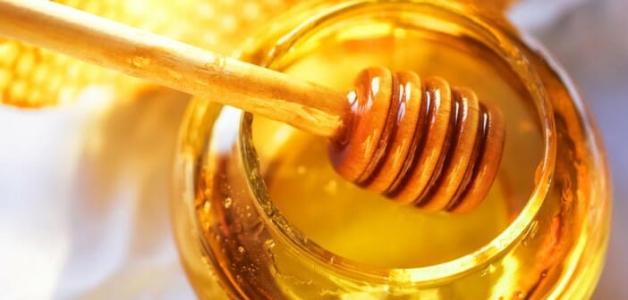 Le fructose fait-il grossir ?