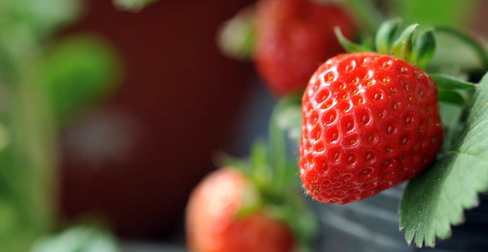 Les aliments anti-stress pour maigrir