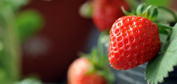 Les aliments anti-stress pour maigrir