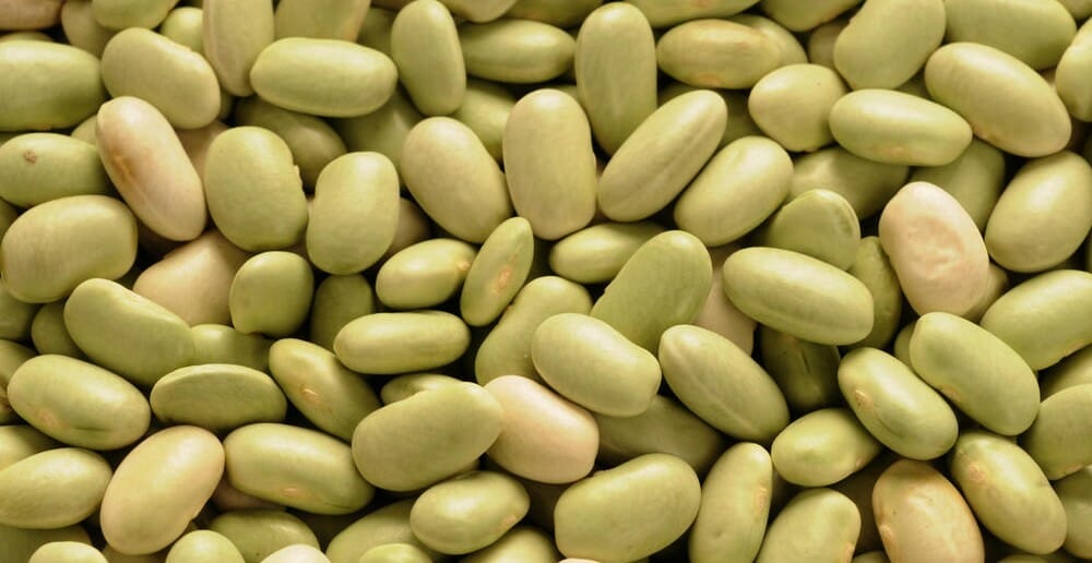 Les flageolets font-ils grossir ?