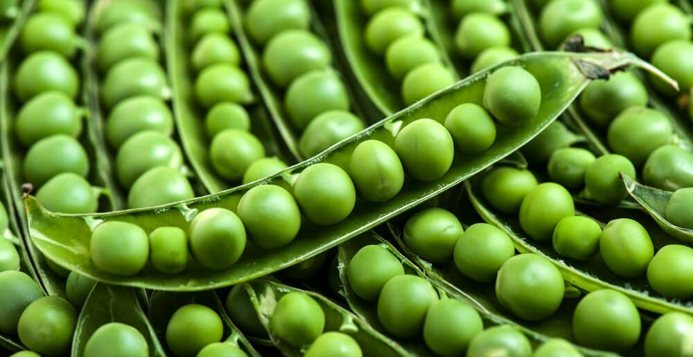 Les légumes vert pendant un régime minceur