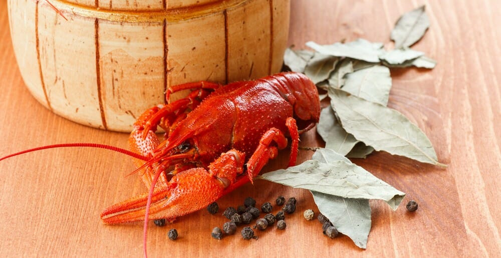 Manger du homard fait-il grossir ?