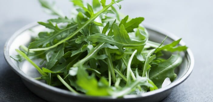 La roquette fait-elle grossir ?