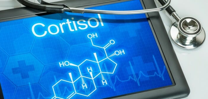 Le cortisol fait-il maigrir ?